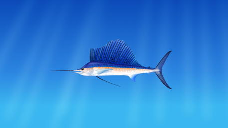 Swordfish art wallpaper