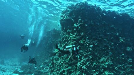 Scuba diving in Hurghada, Egypt wallpaper