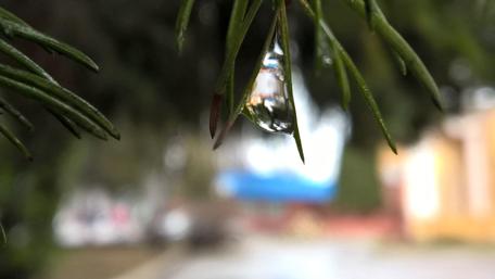 Waterdrop wallpaper