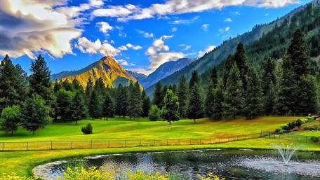 Pond in the valley wallpaper