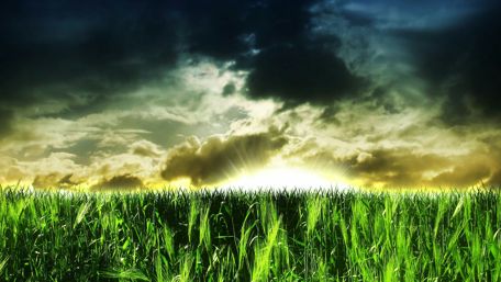 Sunrays in the cloudy sky wallpaper