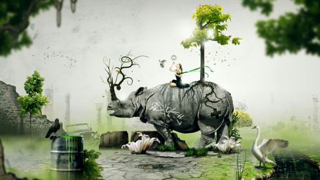 Girl on a Rhinoceros wallpaper