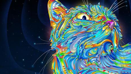 Colorful cat design wallpaper