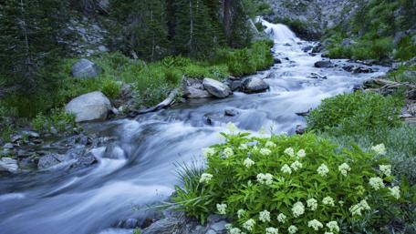Lassen Volcanic National Park - California wallpaper