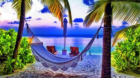 Palms on the beach wallpaper