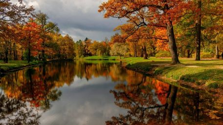 Autumn trees reflected in the lake wallpaper