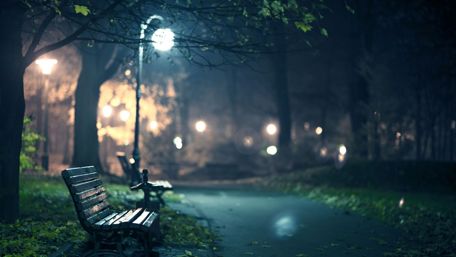 Lonely bench in the park wallpaper