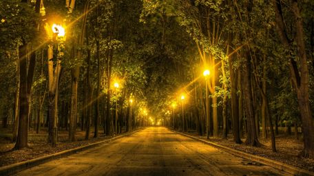 Street lights in the park wallpaper