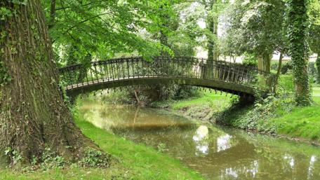 Bridge at the park wallpaper