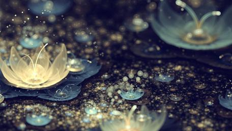 Lotus flower digital art wallpaper