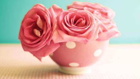 Good morning roses on the table wallpaper