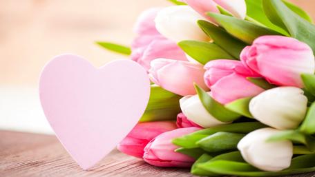 Pink tulip bouquet wallpaper
