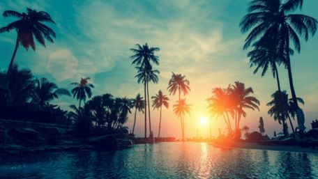 Sunset with palm trees wallpaper