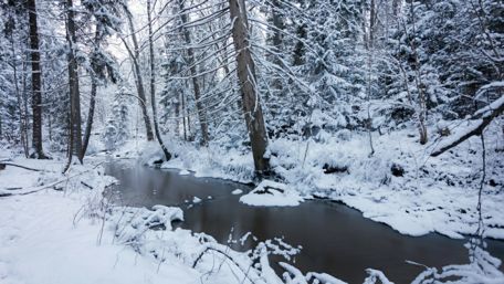 Streem in the winter forest wallpaper