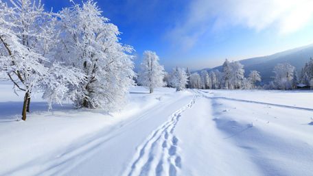 Path in the snow wallpaper
