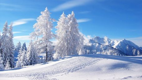 Frosty winter landscape wallpaper
