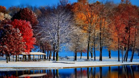 Early winter frost in the autumn  ❄️ wallpaper
