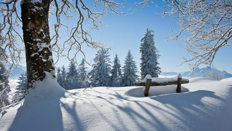 Snowy winter landscape ️❄️ wallpaper