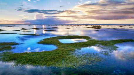 Camas Marsh at sunrise wallpaper