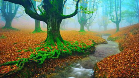 Gorbea Natural Park - Spain wallpaper