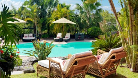 Tropical Oasis Serenity for Relaxation wallpaper