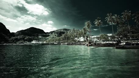 Coastline with palm trees in green hue wallpaper