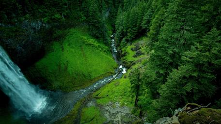 Waterfall in the green forest wallpaper