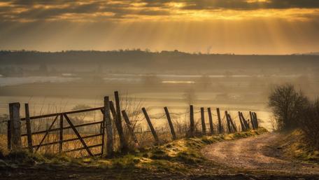 Dirt road along old fence wallpaper