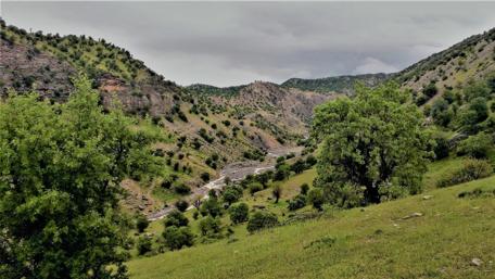 Serene Valley Amidst Rolling Hills and Flowing Stream wallpaper