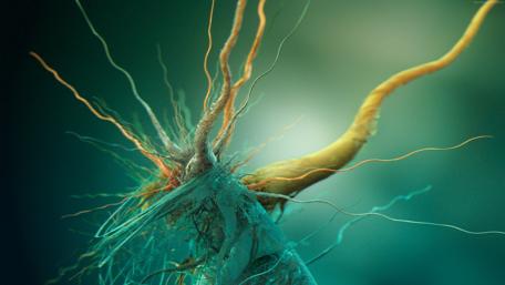 Growth of Cubic Bacteria - Digital art wallpaper