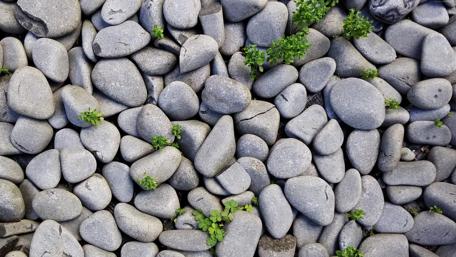 Grey stones wallpaper