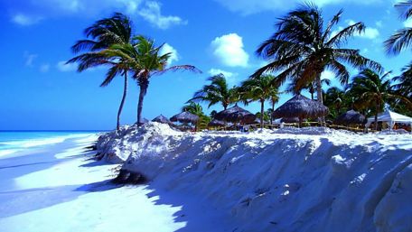 Windy shore wallpaper
