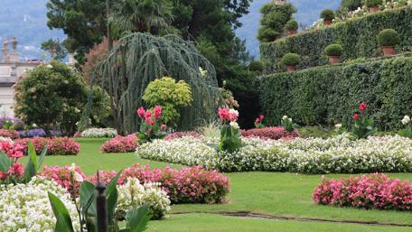 Park with flowers wallpaper
