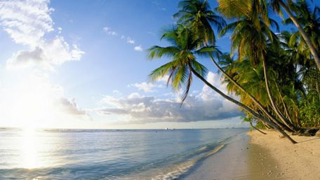 Trinidad and Tobago seashore wallpaper