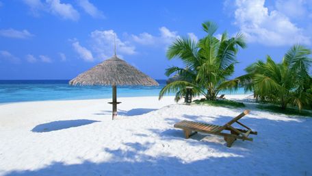 Tropical Paradise Escape by the Beach wallpaper