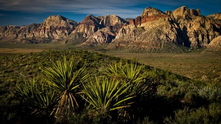 Red Rock Canyon landscape wallpaper