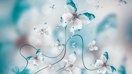 Butterfly art wallpaper
