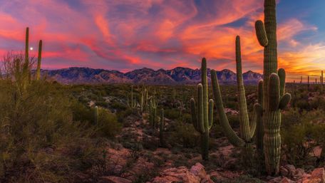 Sunrise over Honey Bee Canyon Park, Oro Valley wallpaper