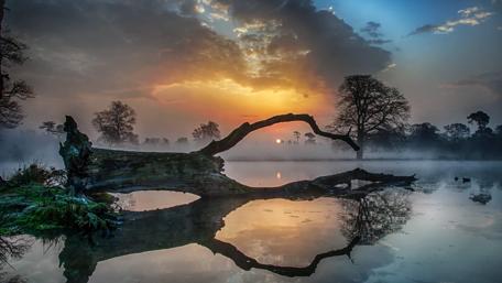 Dusty sunset reflected in the lake wallpaper