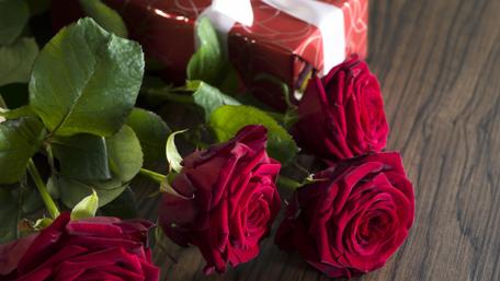 Red roses wallpaper