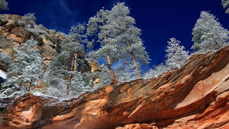 Oak Creek Canyon - Arizona wallpaper
