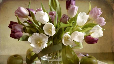 Vibrant Tulip Bouquet for Spring Decor wallpaper