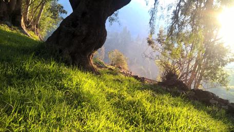Sunlight in the mountainside wallpaper