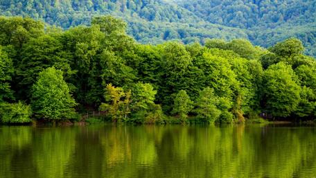 Abbas Abad Lake - Behshahr, Iran wallpaper
