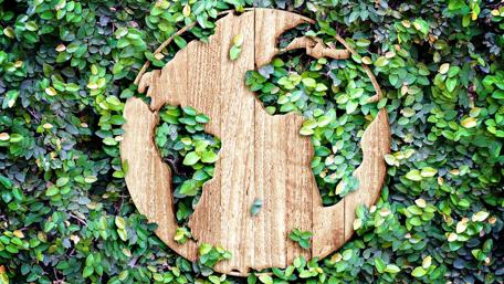 The Earth in Wood and Leaves wallpaper