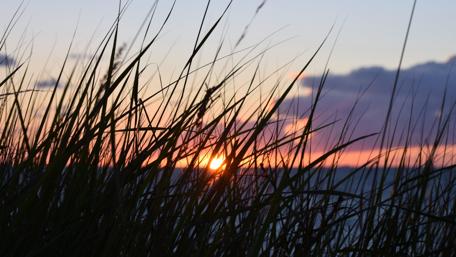 Sunset wallpaper
