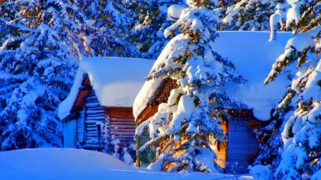 Snowy landscape ️❄️ wallpaper
