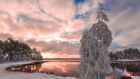 Winter sunrise over the lake wallpaper