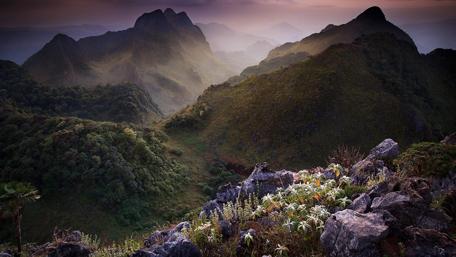 Amazing nature of Thailand wallpaper