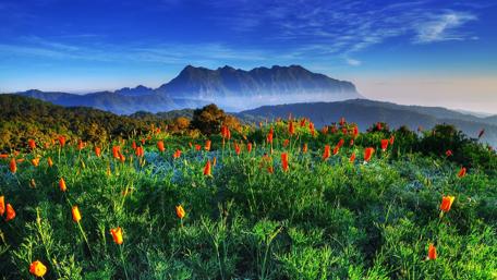 Si Lanna National Park, Thailand wallpaper